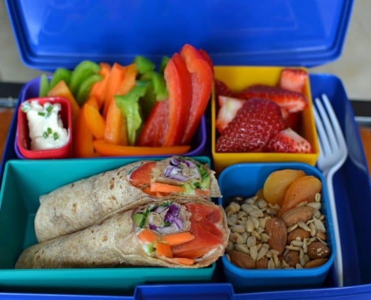 The Dietary Guidelines for a Balanced Lunch {with the help of our favorite lunch boxes}. Send lunch to school, and have your kids actually eat it!